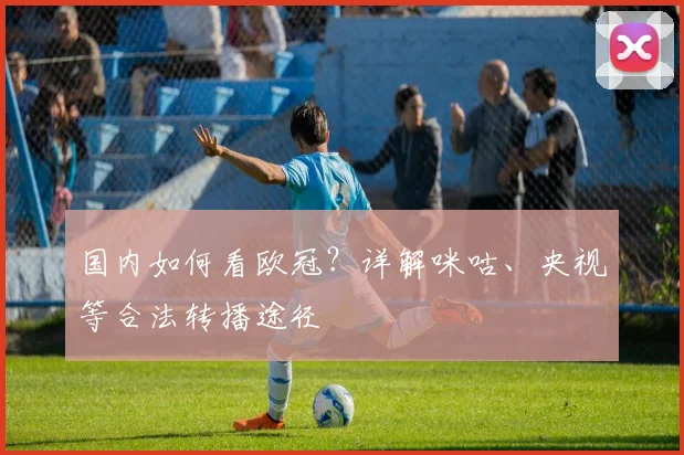 国内如何看欧冠？详解咪咕、央视等合法转播途径