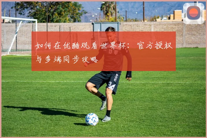 如何在优酷观看世界杯：官方授权与多端同步攻略