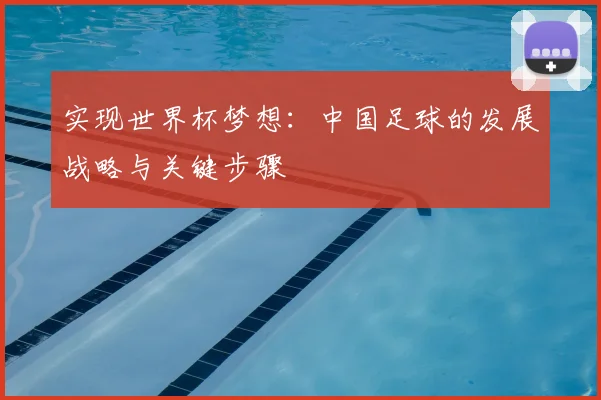 实现世界杯梦想：中国足球的发展战略与关键步骤