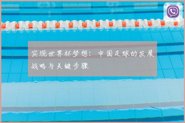 实现世界杯梦想：中国足球的发展战略与关键步骤